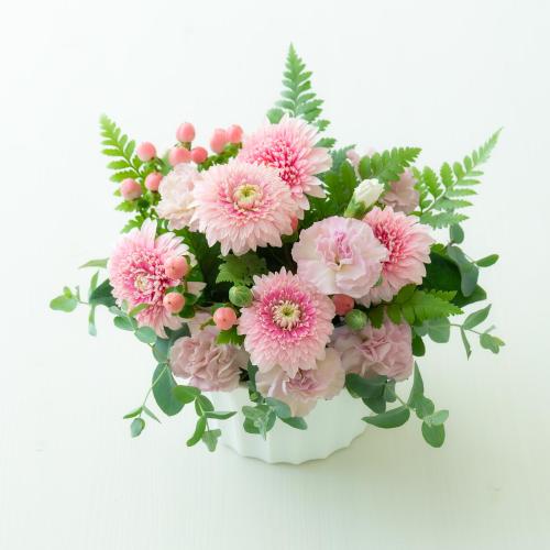  �v���ɂ��܂��� �A�����W�����g�u�s���N�n�v3,850�~