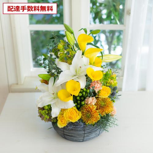 �v���ɂ��܂������؃A�����W�u���F�E�I�����W�n�v11,000�~