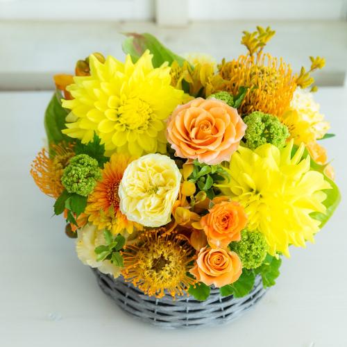 �v���ɂ��܂������؃A�����W�u���F�E�I�����W�n�v11,000�~2