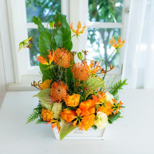 �v���ɂ��܂������؃A�����W�u���F�E�I�����W�n�v11,000�~3