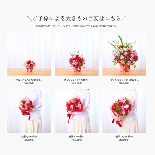 �v���ɂ��܂������؃A�����W�u���F�E�I�����W�n�v11,000�~4