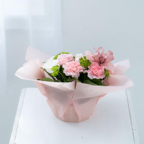 �T���N�X�A�����W�����g�u�p�X�e���s���N�v7