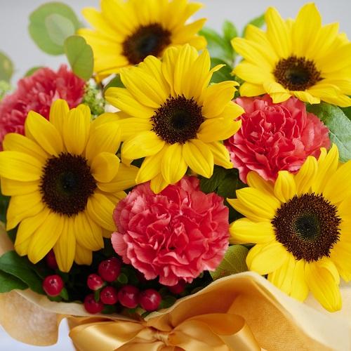 �Ђ܂��̃T���N�X�A�����W4