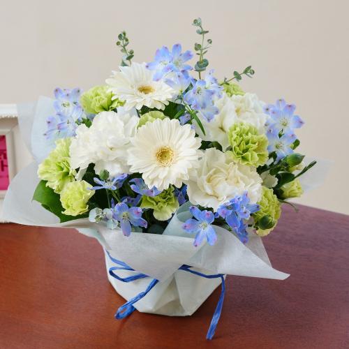 �v���ɂ��܂��� �A�����W�����g�u�u���[���z���C�g�v4,400�~