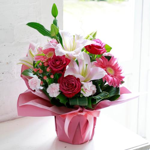 �s���N��������ꂽ�s���N�n���܂����A�����W