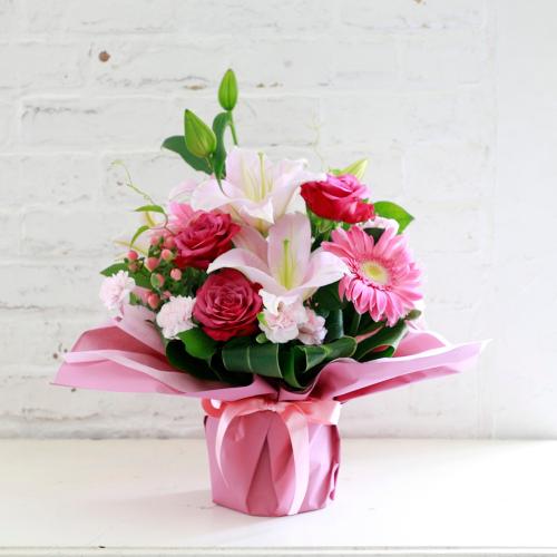 �s���N��������ꂽ�s���N�n���܂����A�����W2