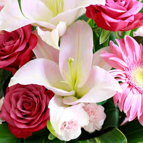 �s���N��������ꂽ�s���N�n���܂����A�����W7