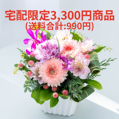 ��z����3,300�~���i